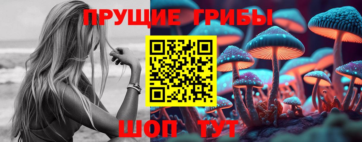Заводоуковск  Галлюциногенные грибы MAGIC MUSHROOMS  Галлюциногенные грибы Magic Shrooms  Вход с VPN 