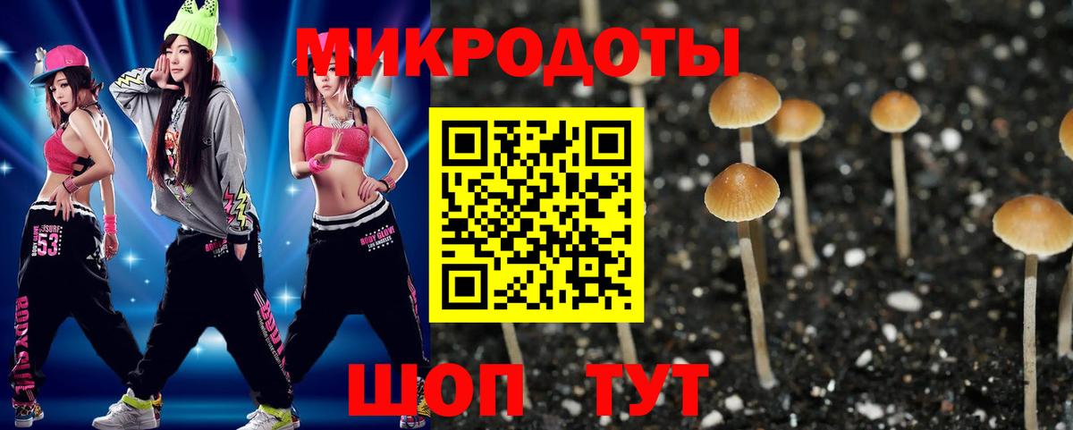 Галлюциногенные грибы MAGIC MUSHROOMS Заводоуковск